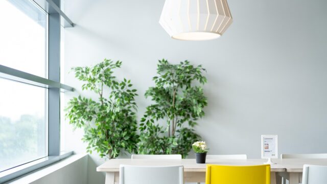 札幌の春デート完全ガイド！恋を育む場所