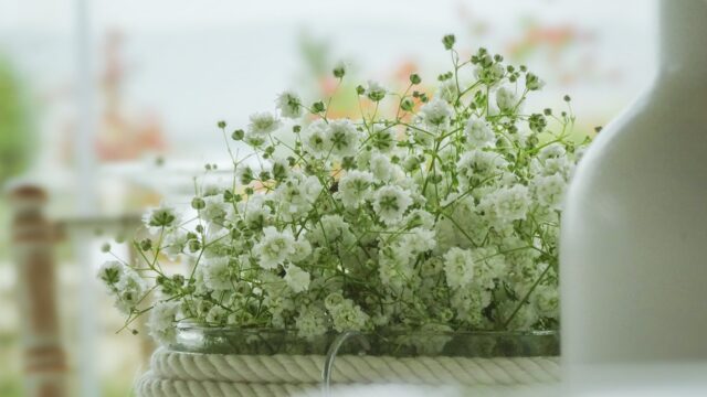 花火大会デートを格上げする食事プラン